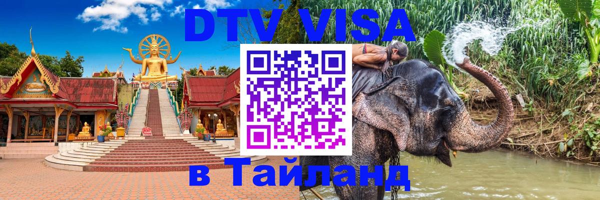 Оформление DTV визы под ключ: стоимость и тарифы, только загранпаспорт - Баку  21.11.2025 